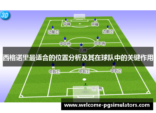 西格诺里最适合的位置分析及其在球队中的关键作用 西格诺里最适合的位置分析及其在球队中的关键作用