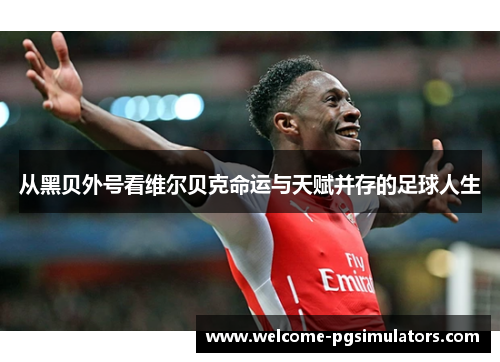 从黑贝外号看维尔贝克命运与天赋并存的足球人生 从黑贝外号看维尔贝克命运与天赋并存的足球人生