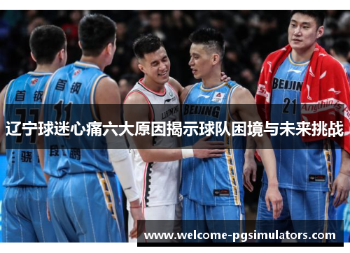 辽宁球迷心痛六大原因揭示球队困境与未来挑战