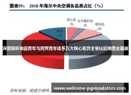深度解析埃因青年与阿贾青年体系五大核心差异全景比较指南全篇版 深度解析埃因青年与阿贾青年体系五大核心差异全景比较指南全篇版