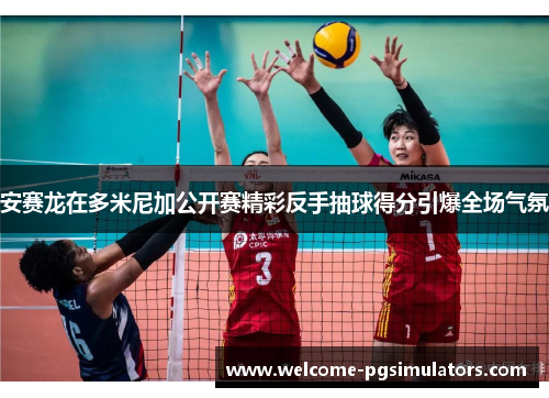 安赛龙在多米尼加公开赛精彩反手抽球得分引爆全场气氛